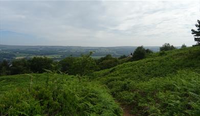 The Length And Breadth Of Ilkley Moor