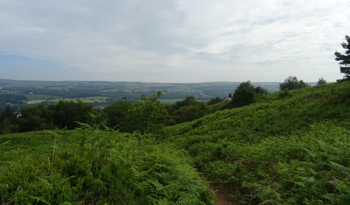 The Length And Breadth Of Ilkley Moor
