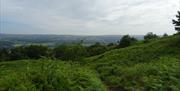The Length And Breadth Of Ilkley Moor