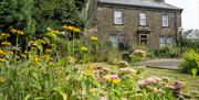An old house and garden