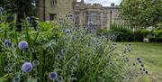 A manor house and gardens