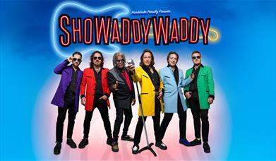 A picture of the band Showaddywaddy