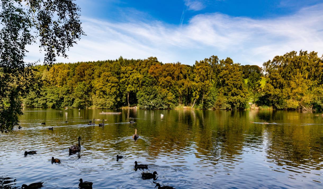 St. Ives Estate, Coppice Pond