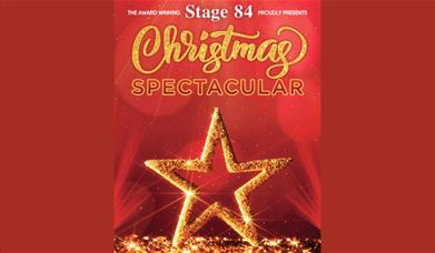 A poster advertising the concert featuring a glittering gold star
